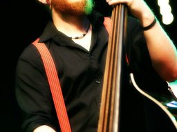 rockabilly 24